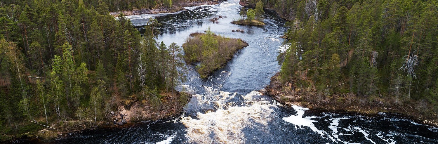 Sähkösopimus ja sähkön hinta nyt